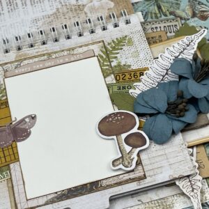 49 & Market Vintage Artistry Nature Study Album