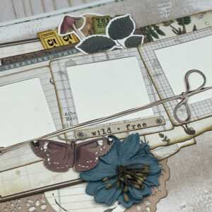 49 & Market Vintage Artistry Nature Study Album