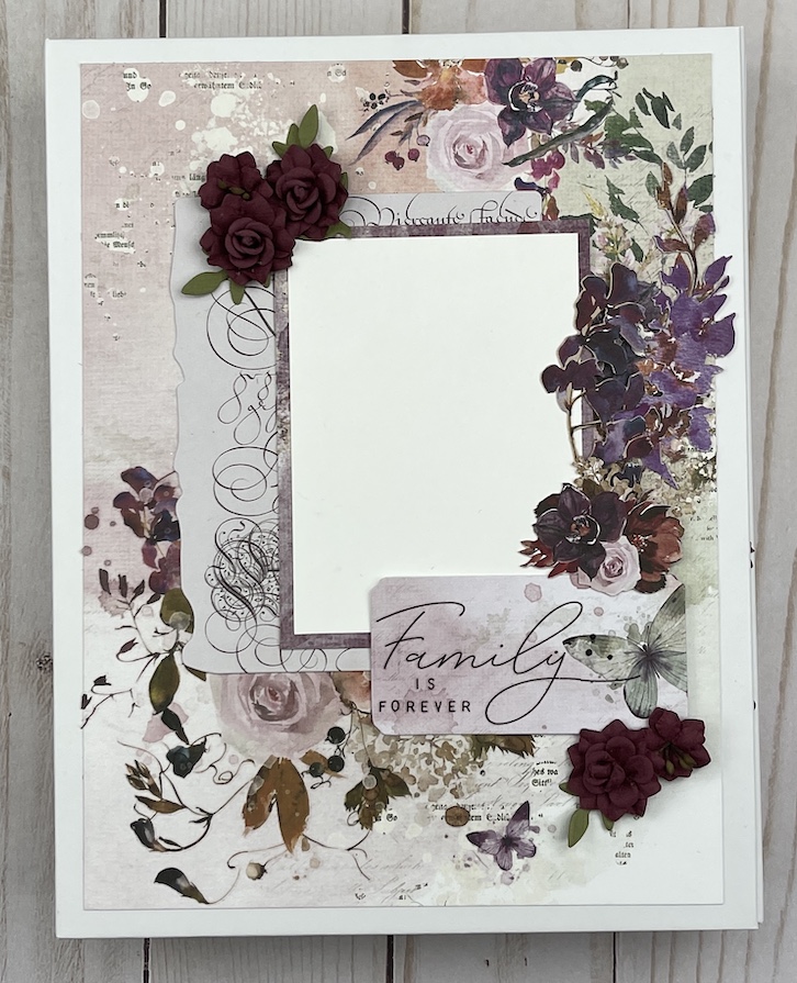 49th & Market Art Options Plum Grove Album