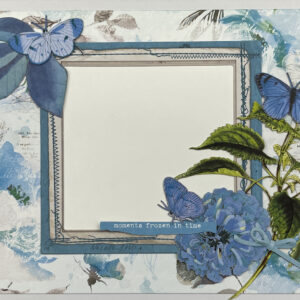 49 & Market Color Swatch Ocean Album