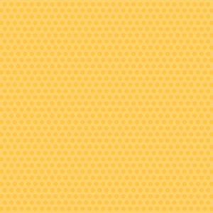 Echo Park Fairy Garden 12X12 Wondrous Butterflies