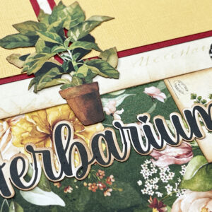 Mintay Chocolate Kiss