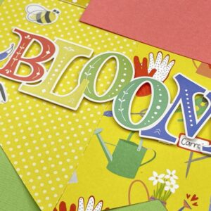 Photo Play Showers & Flowers