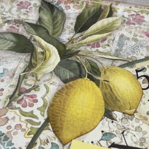 Stamperia Blue Dream