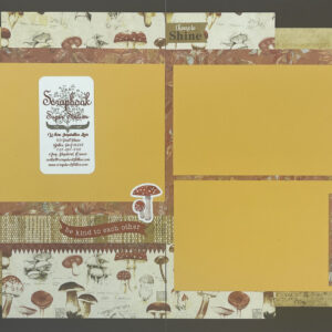 Photo Play Meadow's Glow