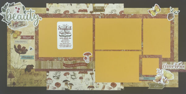 Photo Play Meadow's Glow