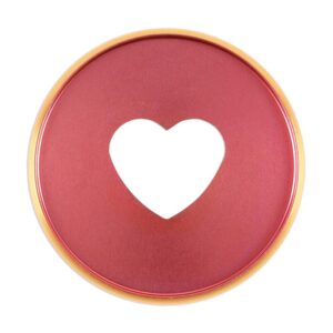 HAPPY PLANNER EXPANDER DISCS ROSEY & GO