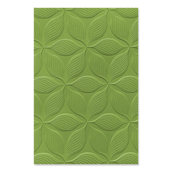Sizzix 3-D Embossing Folder Defined Petals Sizzix 3-D Embossing Folder Defined Petals
