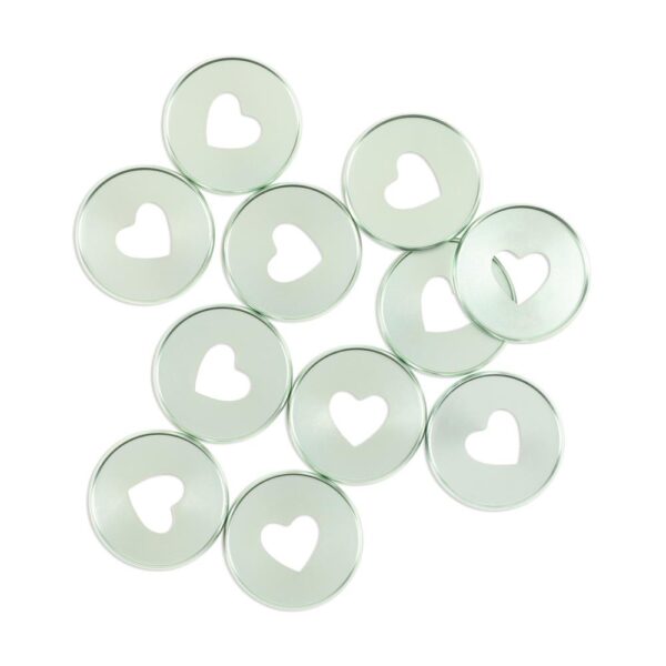 HAPPY PLANNER EXPANDER DISCS MINT
