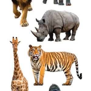 PAPER HOUSE STICKER ZOO ANIMALS