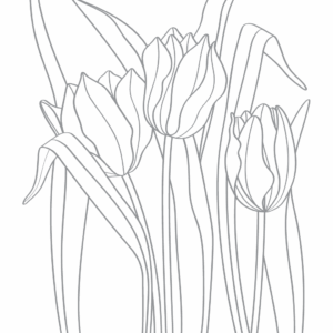 LDRS Letterpress Tulips