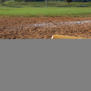 REMINISCE LET'S PLAY BASEBALL 12X12 HOME PLATE