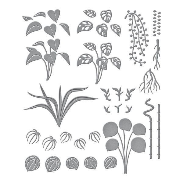 SPELLBINDERS DIES PROPAGATED PLANTS