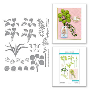SPELLBINDERS DIES PROPAGATED PLANTS