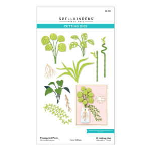 SPELLBINDERS DIES PROPAGATED PLANTS
