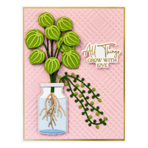 SPELLBINDERS DIES PROPAGATED PLANTS