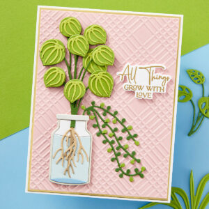 SPELLBINDERS DIES PROPAGATED PLANTS