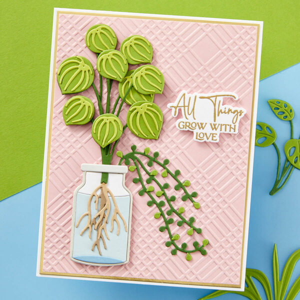 SPELLBINDERS DIES PROPAGATED PLANTS