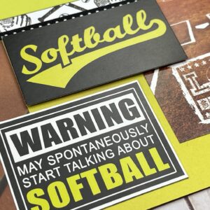 Reminisce Let's Play! Softball