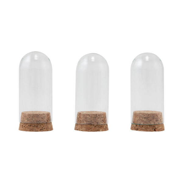 ADVANTUS TIM HOLTZ DISPLAY DOMES MINI