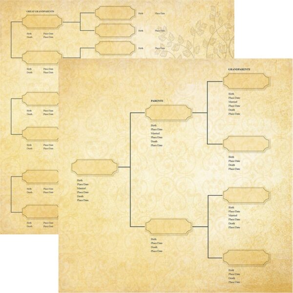 REMINISCE FAMILY TREE 12X12 GENERATIONS