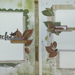 49 & Market  Vintage Orchard 12X12 Album