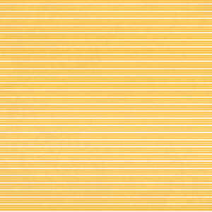 Carta Bella Back To School 12X12 Bright Bookshelf