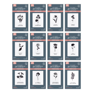 Spellbinders Florals Through the Year Betterpress Plates Bundle