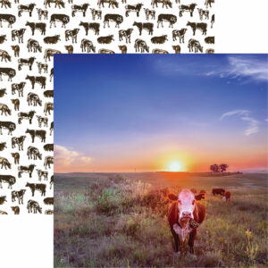 Reminisce Holy Cow 12X12 Hereford