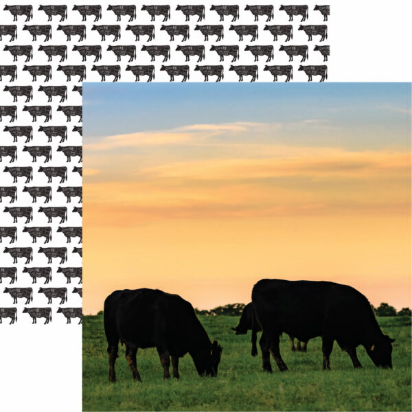 Reminisce Holy Cow 12X12 Black Angus