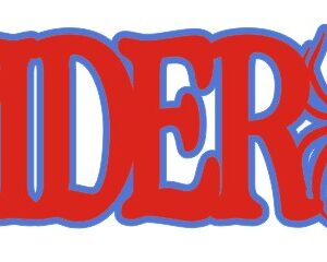 Petticoat Parlor Spider Man