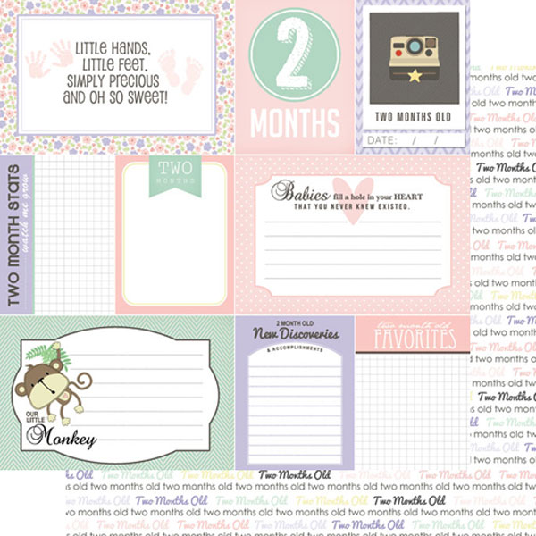 SCRAPBOOK CUSTOMS 12X12 BABY GIRL 2ND MONTH