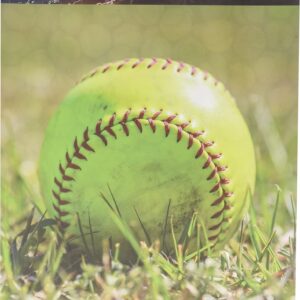 REMINISCE SOFTBALL 12X12 PLAY SOFTBALL