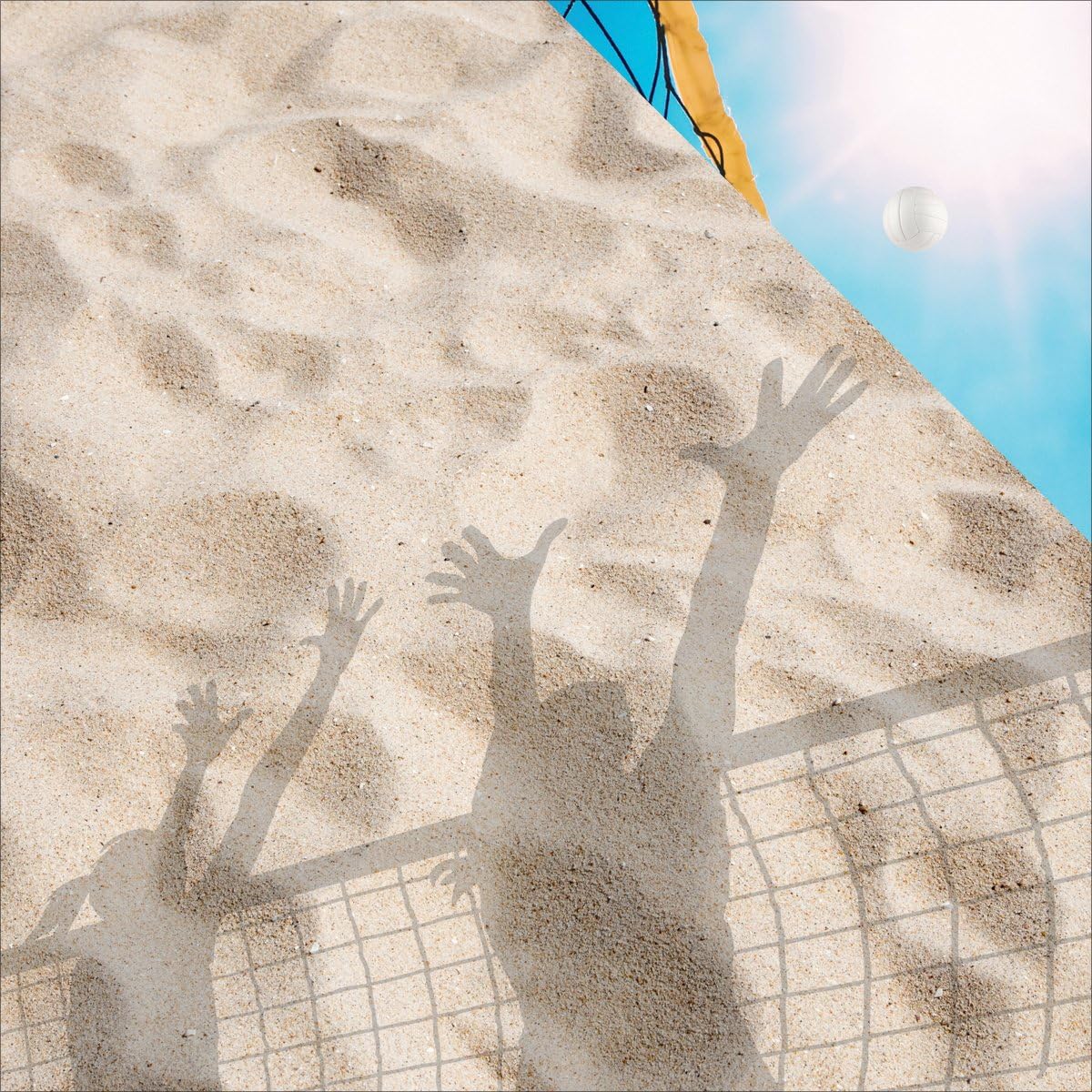 REMINISCE VOLLEYBALL 12X12 BEACH VOLLEYBALL