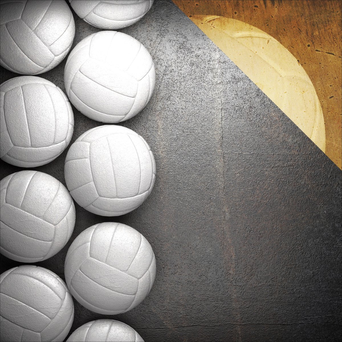 REMINISCE VOLLEYBALL 12X12 BORDER