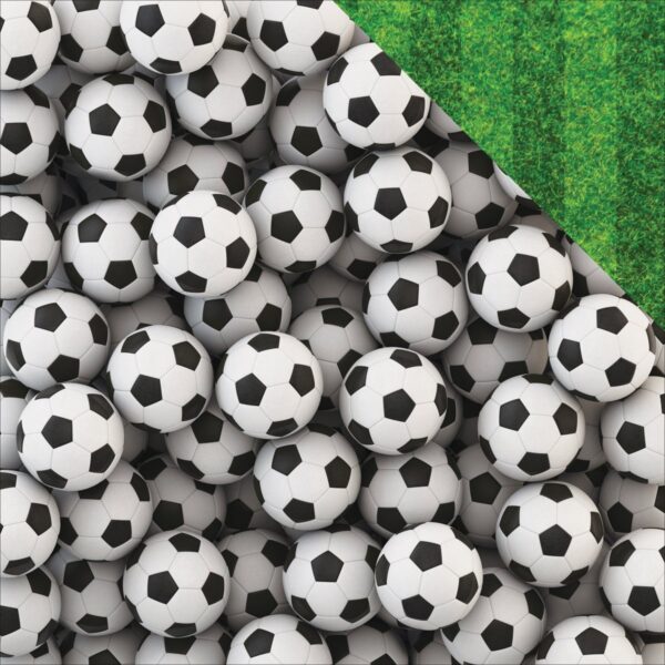 REMINISCE SOCCER 12X12 SOCCER BALLS