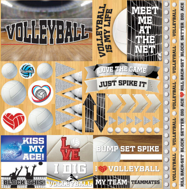 REMINISCE VOLLEYBALL 2 12X12 STICKER SHEET