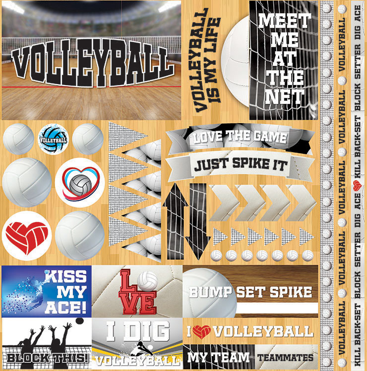 REMINISCE VOLLEYBALL 2 12X12 STICKER SHEET