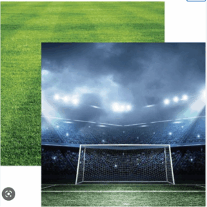 REMINISCE SOCCER COLLECTION 12X12 GOAL