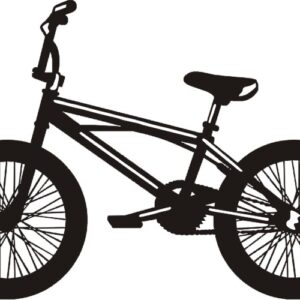 Petticoat Parlor Bicycle