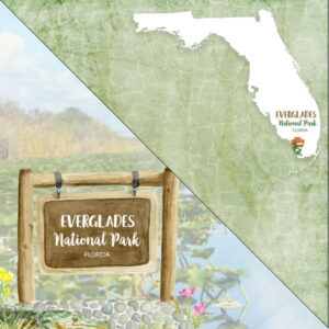 SCRAPBOOK CUSTOMS 12X12 EVERGLADES NATIONAL PARK