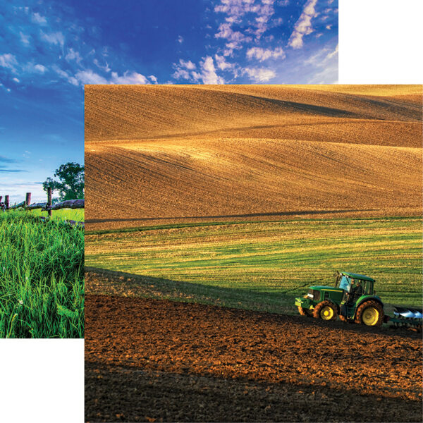 REMINISCE IN THE FIELD 12X12 SPRING