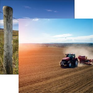 REMINISCE IN THE FIELD 12X12 FIELD WORK