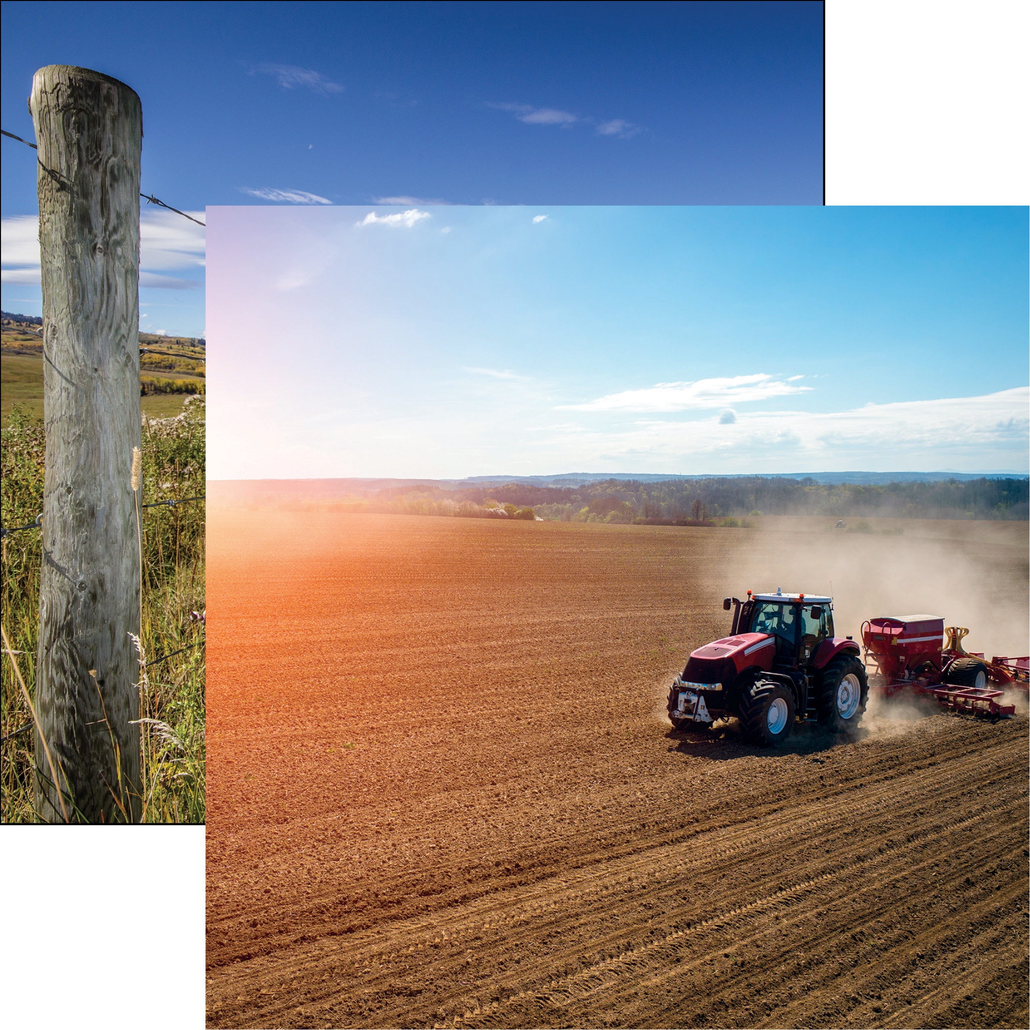REMINISCE IN THE FIELD 12X12 FIELD WORK