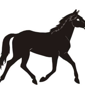 Petticoat Parlor Horse Black