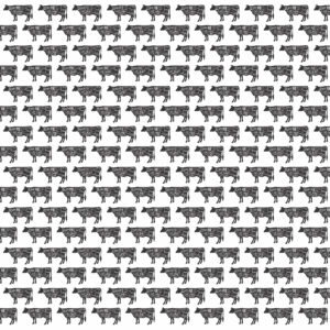 Reminisce Holy Cow 12X12 Black Angus