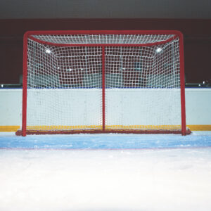 Reminisce Let's Play Hockey 12X12 Goal