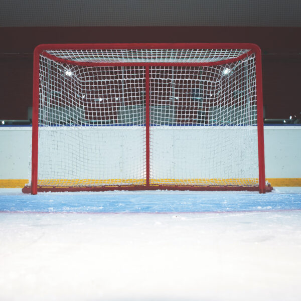 Reminisce Let's Play Hockey 12X12 Goal