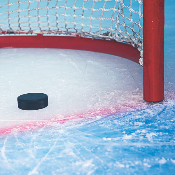 Reminisce Let's Play Hockey 12X12 Goal