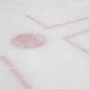 Reminisce Let's Play Hockey 12X12 Face Off